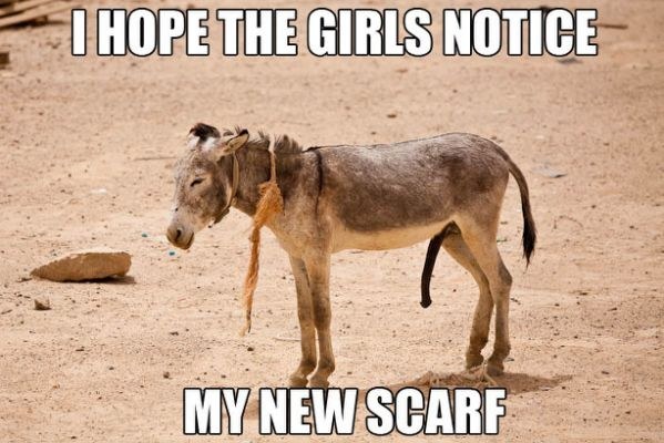 [Image: i-hope-the-girls-notice-my-new-scarf-don...f8c082.jpg]