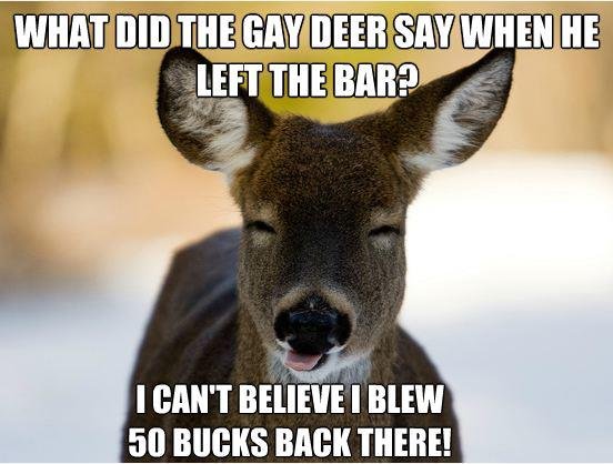 [Image: gay-deer-blew-50-bucks-at-the-bar.jpg.c7...b04857.jpg]